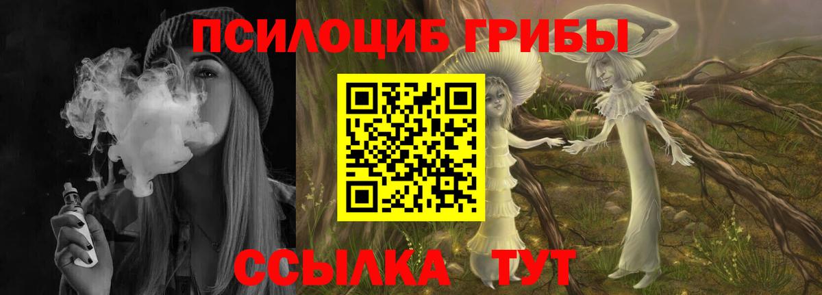 Псилоцибиновые грибы Psilocybine cubensis Волжский